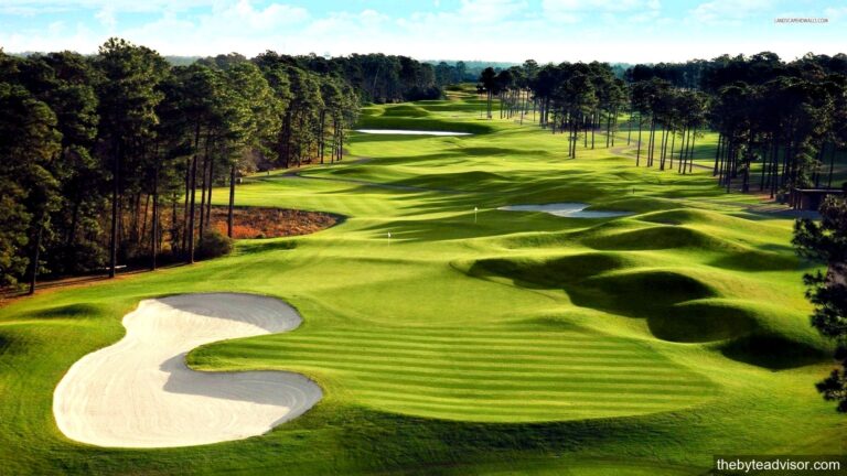 Discover the Best Golf Courses Near You: A Comprehensive Guide