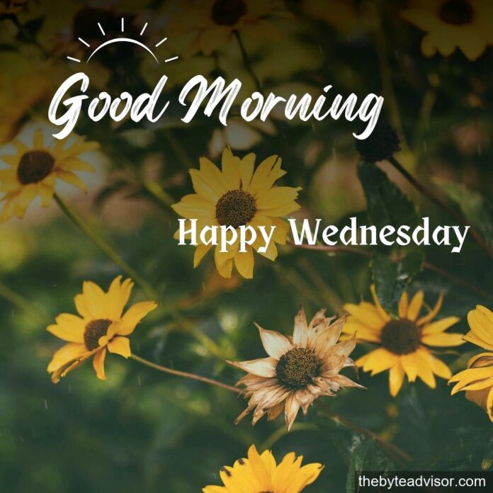 good_morning_happy_wednesday_featured.jpg