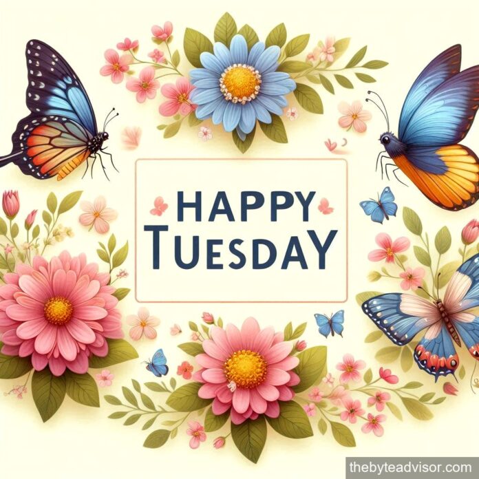 happy_tuesday_featured.jpg
